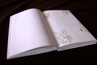 傳統手工紙在書籍裝幀中的藝術魅力